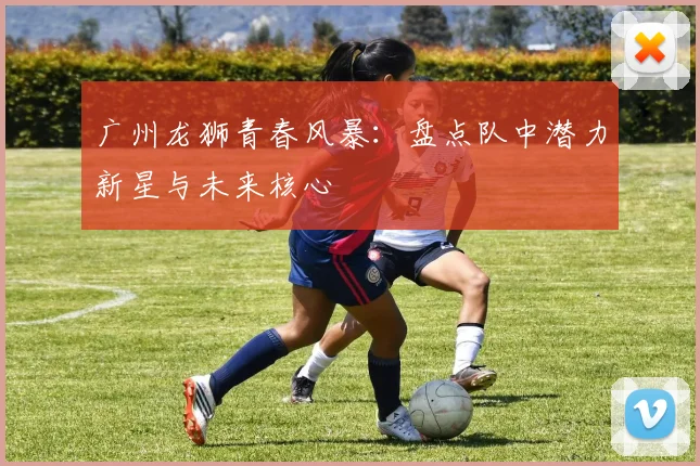 广州龙狮青春风暴：盘点队中潜力新星与未来核心